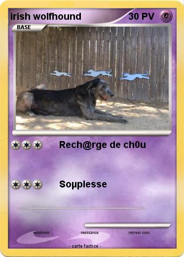 Pokemon irish wolfhound
