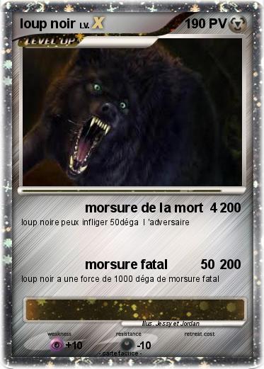 Pokemon loup noir