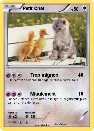 Pokemon Petit Chat