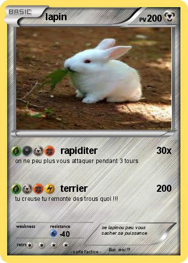 Pokemon lapin