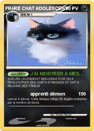 Pokemon FRèRE CHAT ADOLESCENT