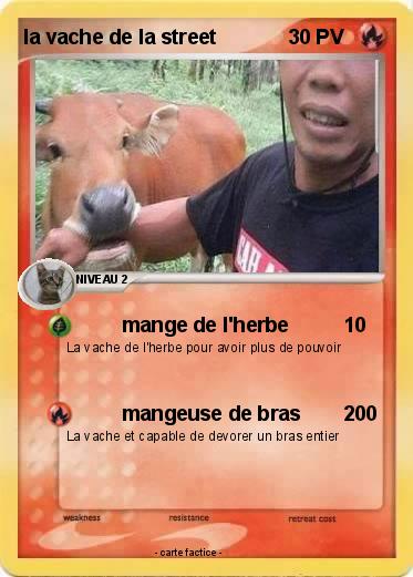 Pokemon la vache de la street