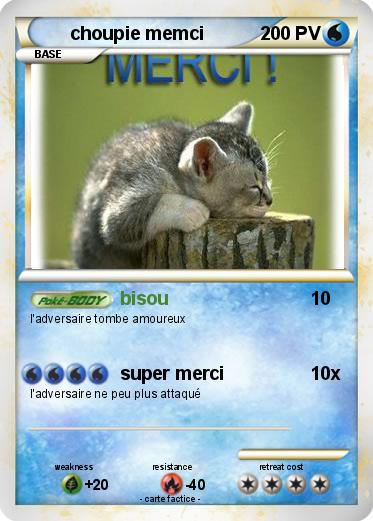 Pokemon choupie memci