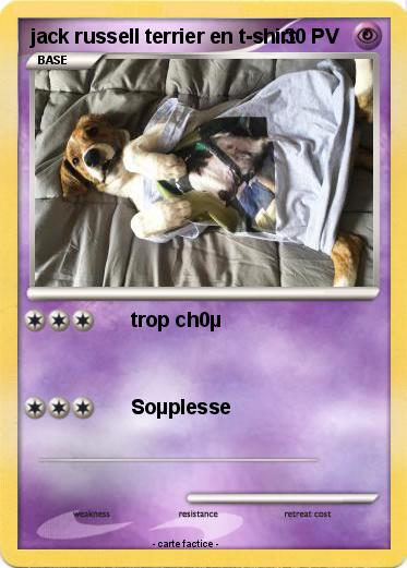 Pokemon jack russell terrier en t-shirt