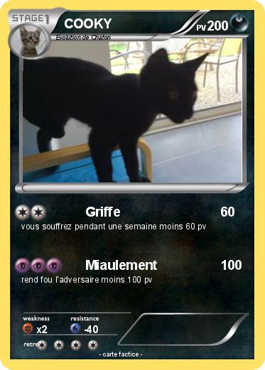 Pokemon COOKY