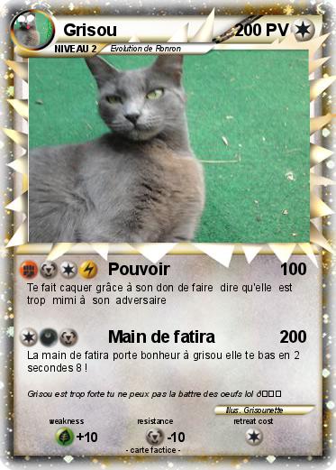 Pokemon Grisou