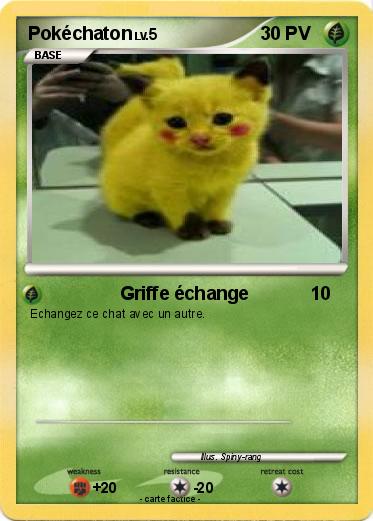 Pokemon Pokéchaton