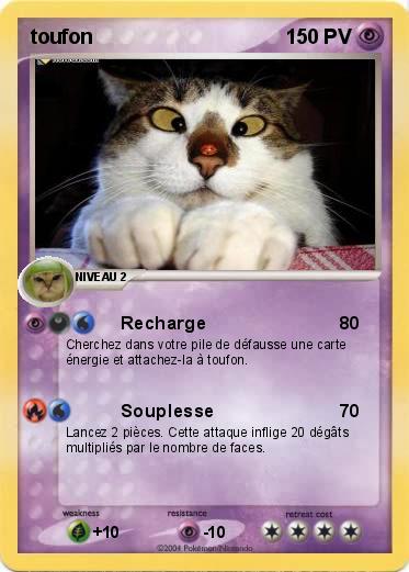 Pokemon toufon