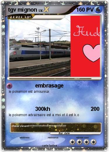 Pokemon tgv mignon