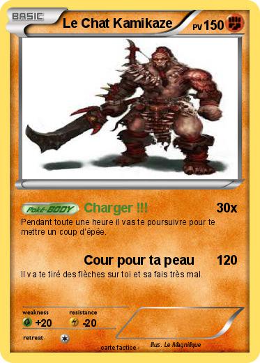 Pokemon Le Chat Kamikaze