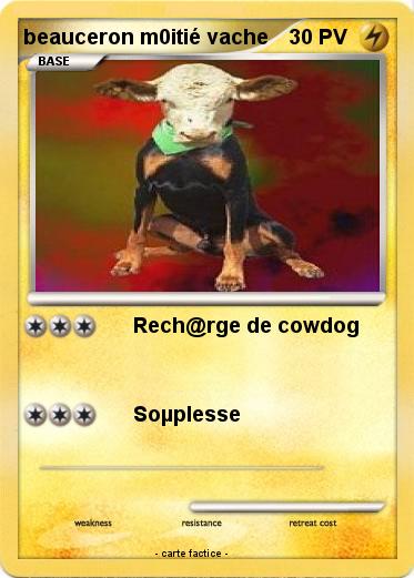 Pokemon beauceron m0itié vache