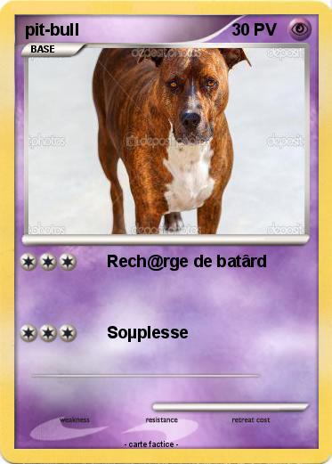 Pokemon pit-bull