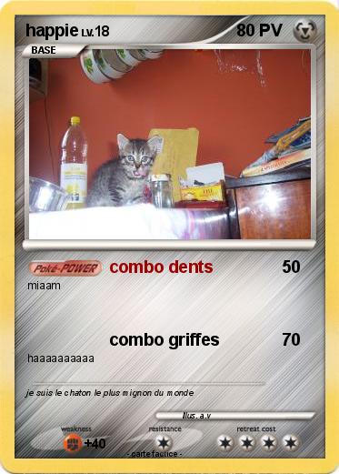 Pokemon happie
