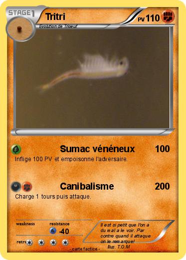 Pokemon Tritri