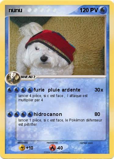 Pokemon nunu