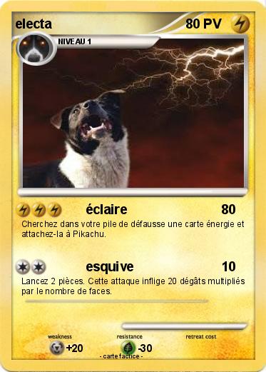 Pokemon electa