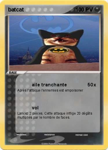 Pokemon batcat