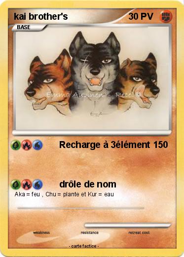 Pokemon kai brother's