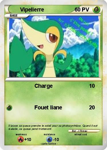 Pokemon Vipelierre