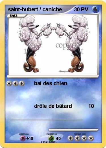 Pokemon saint-hubert / caniche
