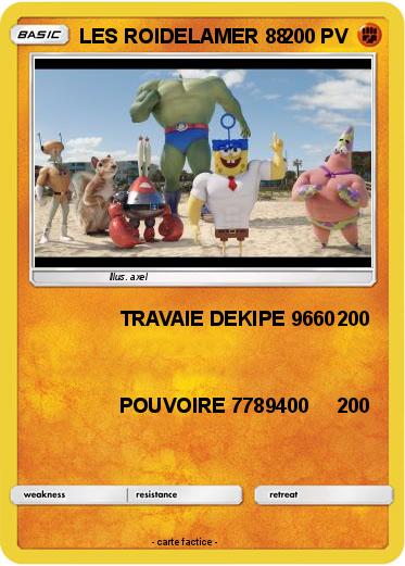 Pokemon LES ROIDELAMER 88