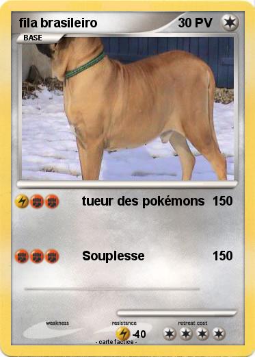 Pokemon fila brasileiro