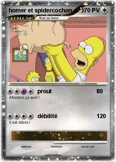 Pokemon homer et spidercochon