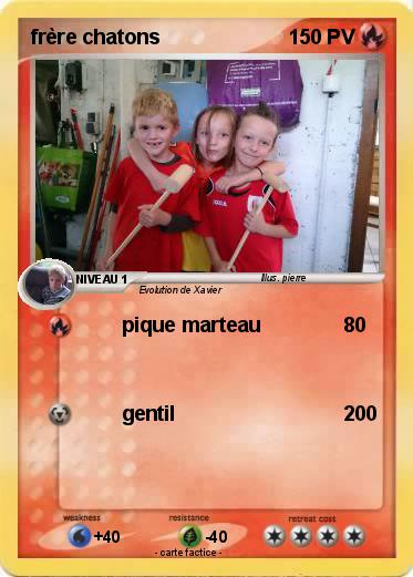 Pokemon frère chatons