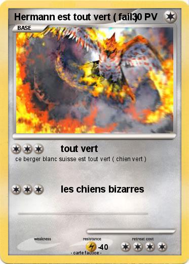 Pokemon Hermann est tout vert ( fail )