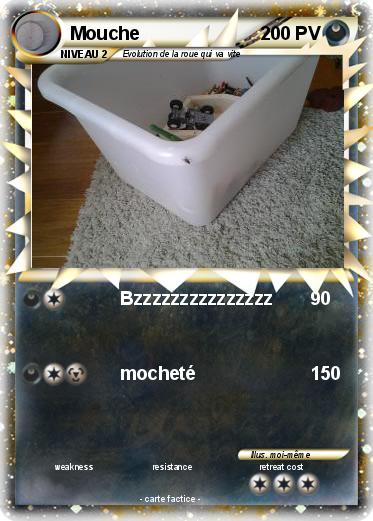 Pokemon Mouche