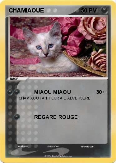 Pokemon CHAMIAOUE