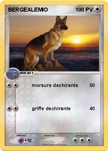 Pokemon BERGEALEMIO