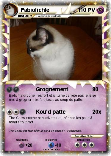 Pokemon Fabiolichle