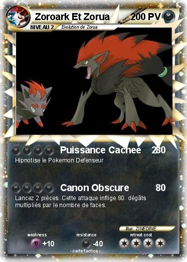 Pokemon Zoroark Et Zorua