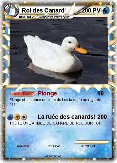 Pokemon Roi des Canard
