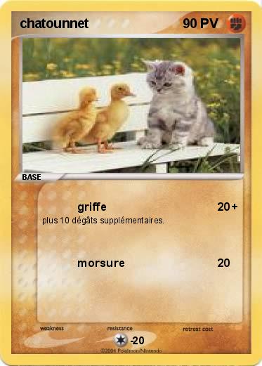Pokemon chatounnet