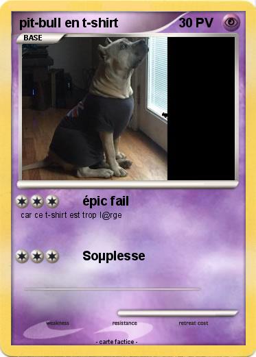 Pokemon pit-bull en t-shirt