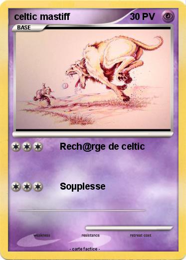 Pokemon celtic mastiff