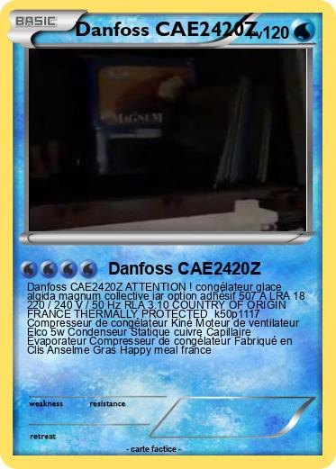 Pokemon Danfoss CAE2420Z