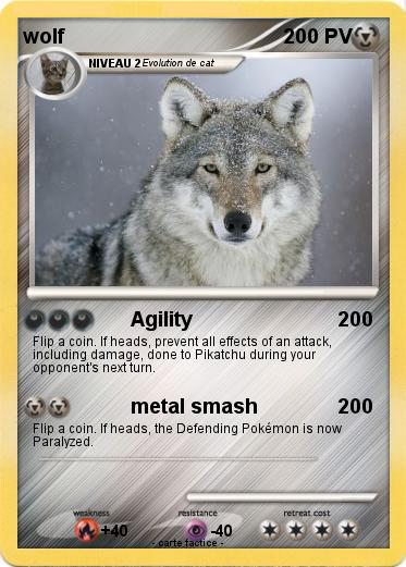 Pokemon wolf