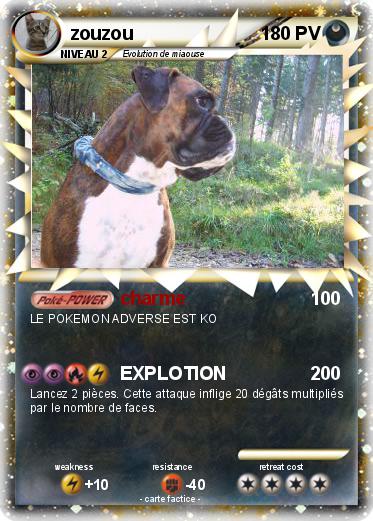 Pokemon zouzou
