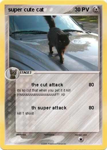 Pokemon super cute cat