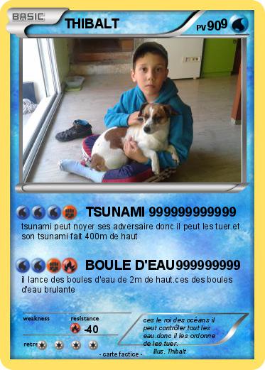 Pokemon THIBALT                            9