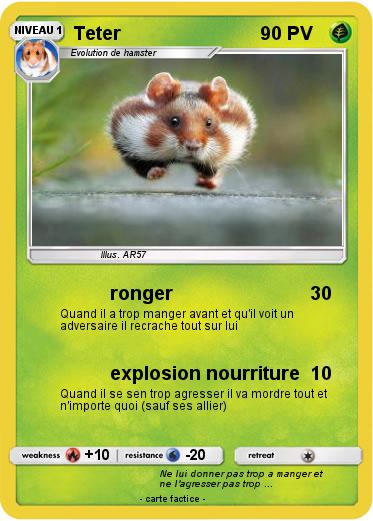 Pokemon Teter