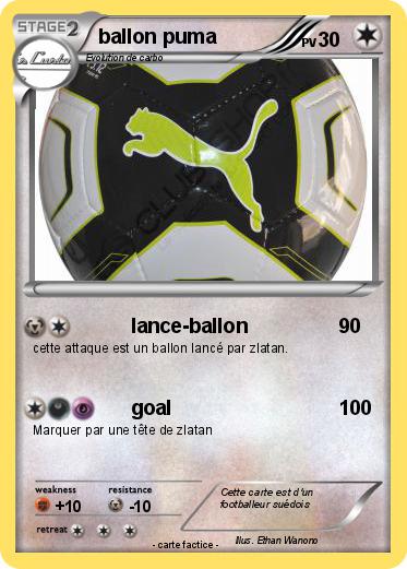 Pokemon ballon puma