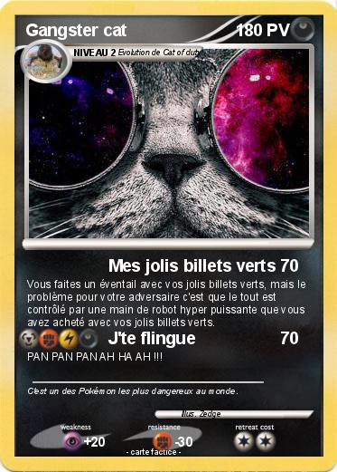 Pokemon Gangster cat