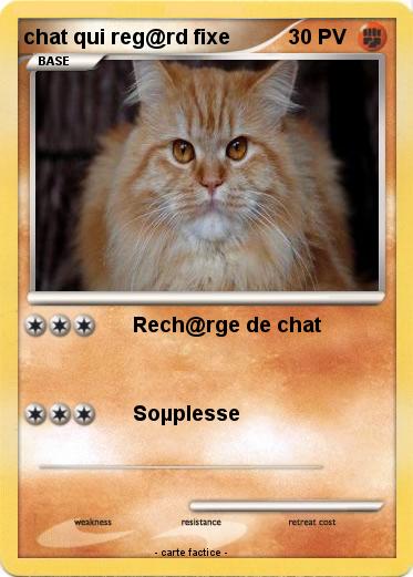 Pokemon chat qui reg@rd fixe