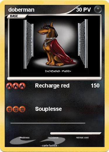 Pokemon doberman