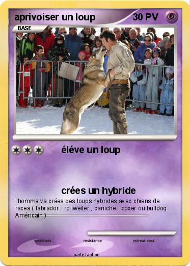 Pokemon aprivoiser un loup