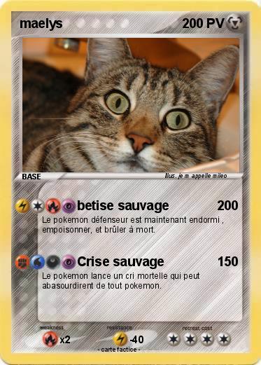 Pokemon maelys